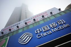 [详细教程]昭通最新企业电话_哔哩哔哩